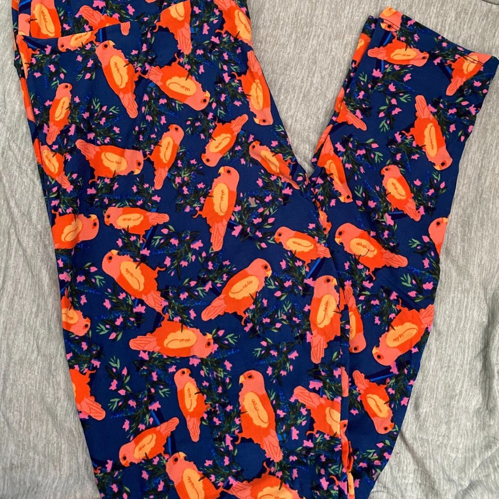 Lularoe TC Leggings - Birds